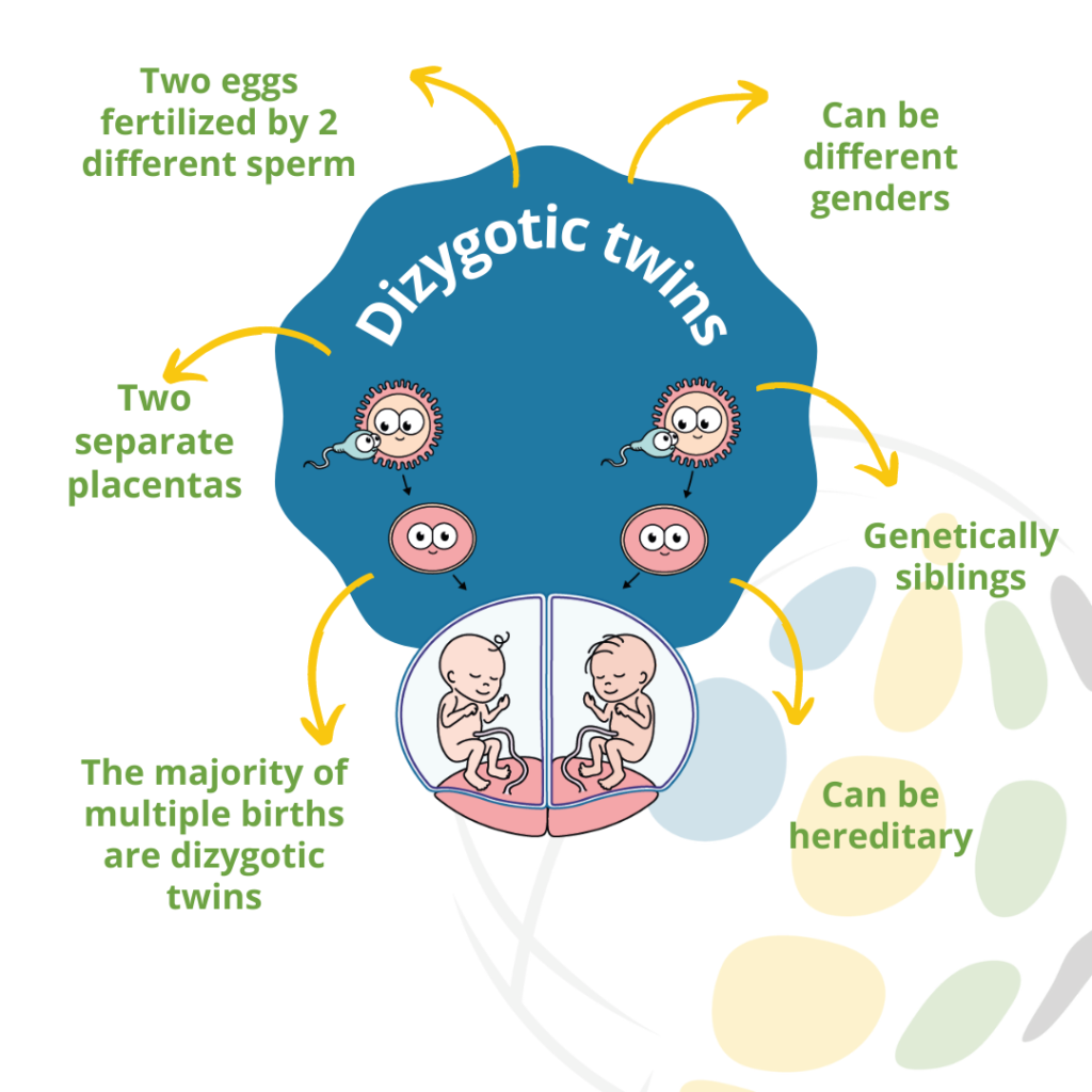 Zygosity For Twins ICOMBO